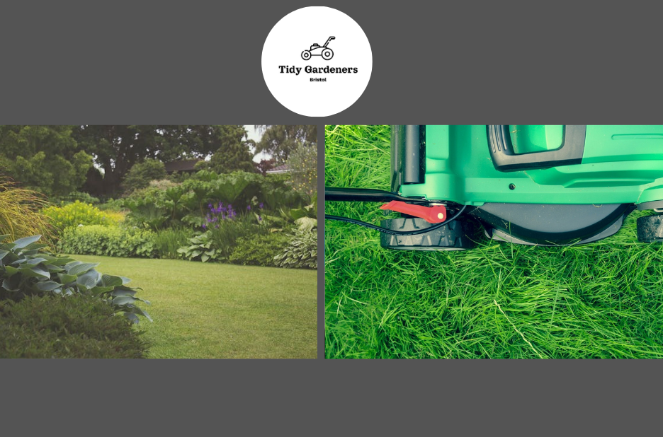 Professional Garden Upkeep for a Lush, Well-Managed Yard