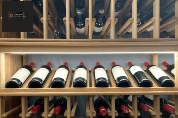 Elevate Your Bottle Experience with Premium Wine Accessories