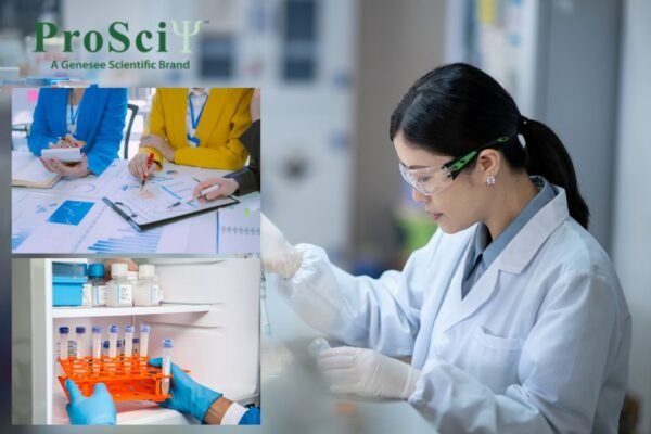 Optimizing Immunoblot Protocols: Efficient Wash Solutions for Clear Results
