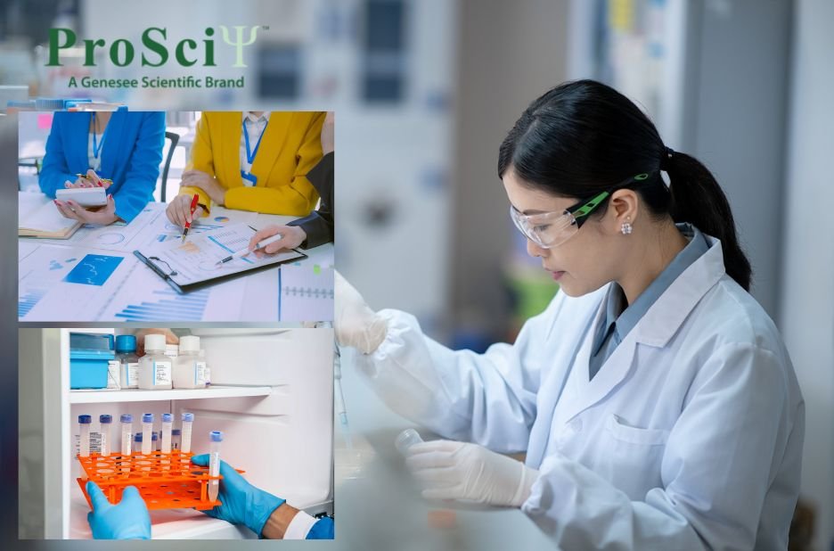 Optimizing Immunoblot Protocols: Efficient Wash Solutions for Clear Results