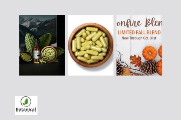 Shop Premium Kratom Safely on the Web