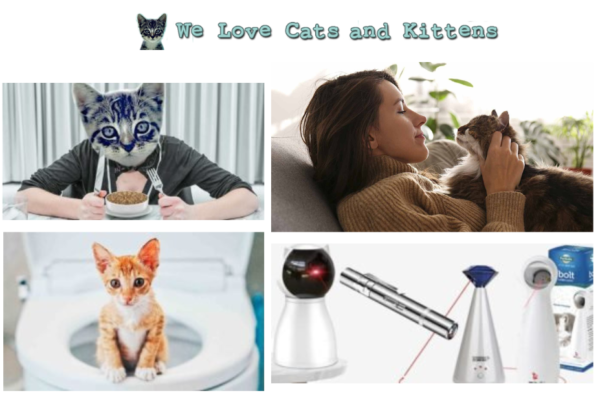 Keep it Fresh: Top Picks for Odor-Control Cat Litter