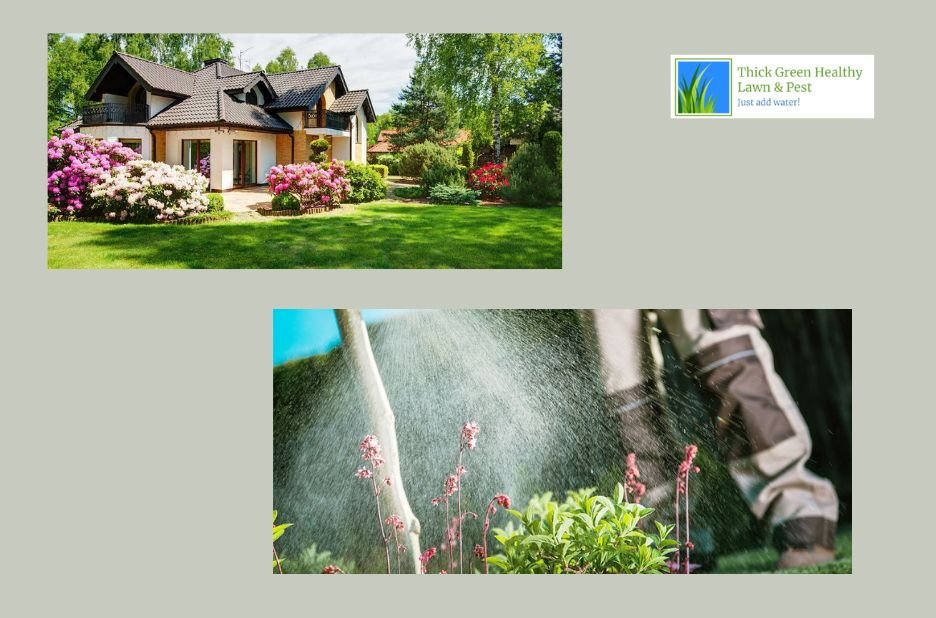 Top-Ticked Lawn Care Pros in San Antonio You Can Rely On