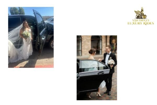 Premium Chauffeur Experiences Across California