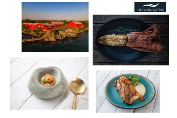 Angling Adventures in Argentina’s Capital: Guide to Fly Fishing in Buenos Aires