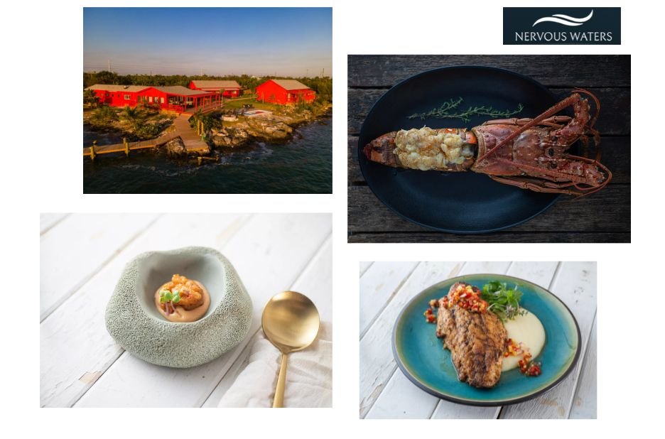 Angling Adventures in Argentina’s Capital: Guide to Fly Fishing in Buenos Aires