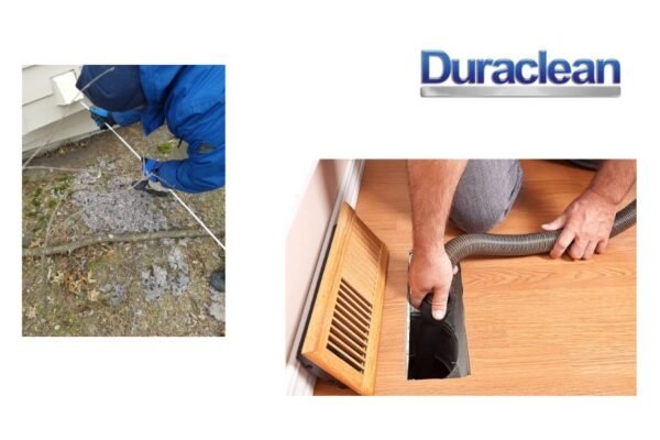 Expert Carpet Cleaning in Rockford for Fresh, Healthy Floors