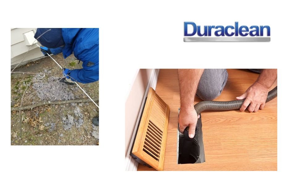 Expert Carpet Cleaning in Rockford for Fresh, Healthy Floors