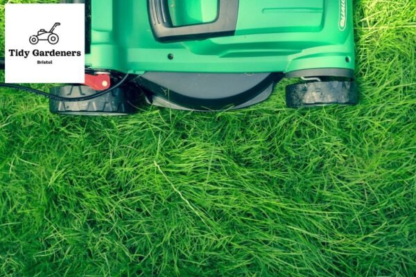 Fast, Reliable Lawn Mowing in Bristol – Same‑Day Options