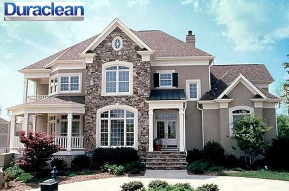Refresh Your Home with Expert Carpet Care and Stain Removal