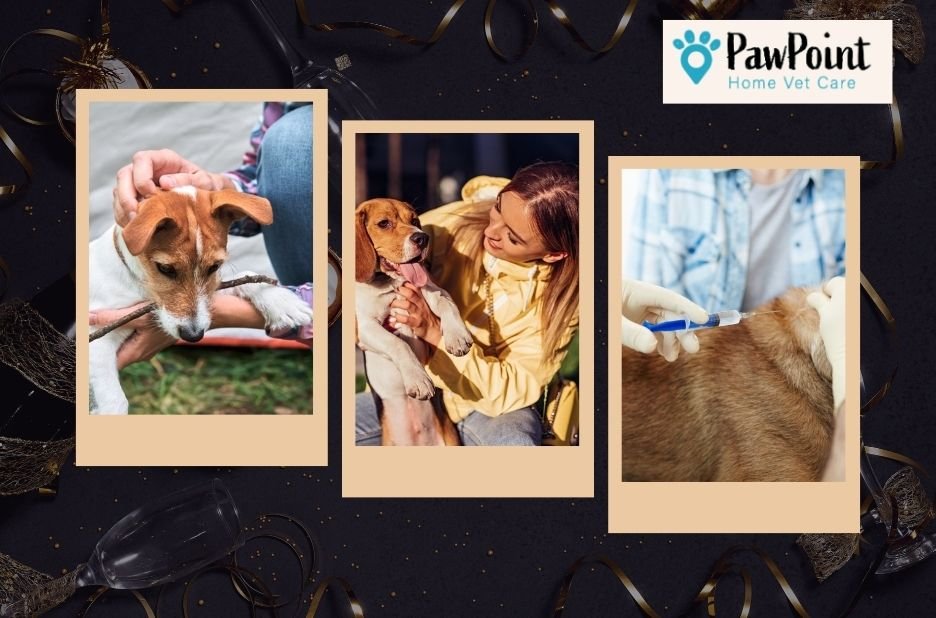 Compassionate In-Home Euthanasia for Your Pet