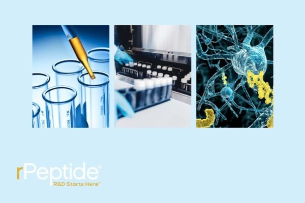 Insights into Aβ 1-42 research in neurodegenerative studies
