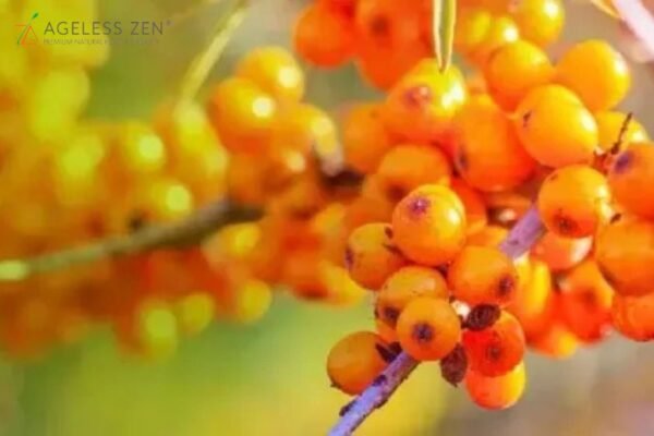 Top Picks for Radiant Skin Care in 2024