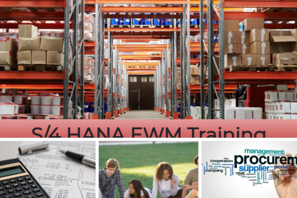 Mastering Production Planning in SAP: A Practical Guide