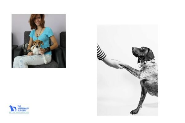 Compassionate Pet Care in Qatar: Trusted Veterinary Expertise