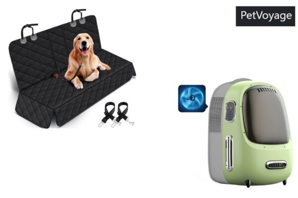 Preparing Your Pet for US Travel: A Practical Guide