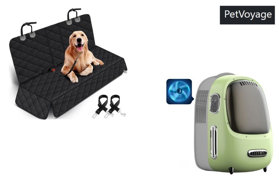 Preparing Your Pet for US Travel: A Practical Guide