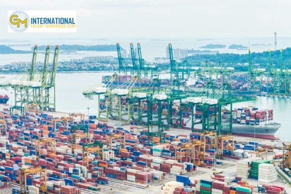 Streamlined Global Shipping from Miami: Expert Freight Solutions