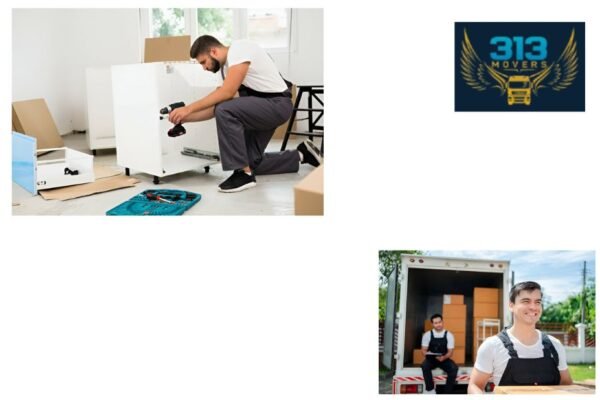 Stress-free Brisbane Office Relocation Experts for Businesses