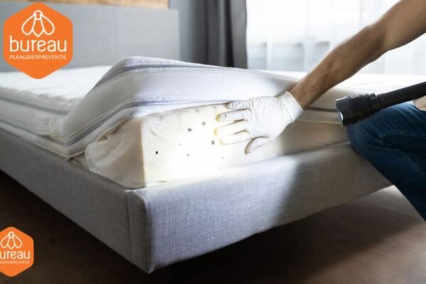 Ratten poep herkennen en veilig verwijderen: Complete gids voor een schone en veilige omgeving