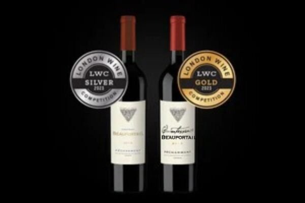 Meilleurs Vins Rouges Corsés à Acheter – Guide et Sélection 2024