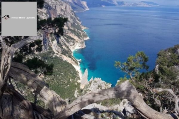 Appartamenti in affitto Ogliastra: comfort e spiagge nel cuore della Sardegna