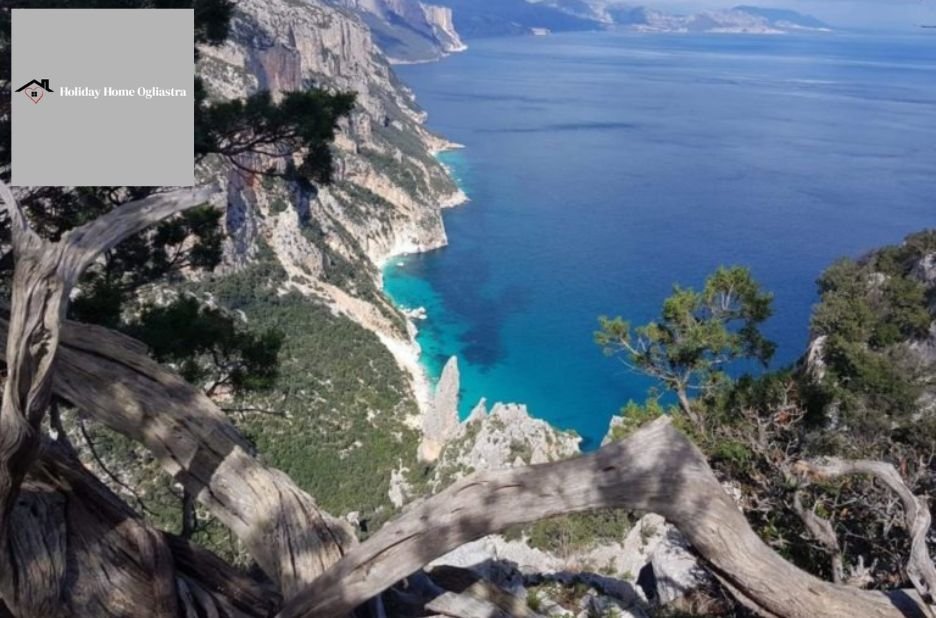 Appartamenti in affitto Ogliastra: comfort e spiagge nel cuore della Sardegna