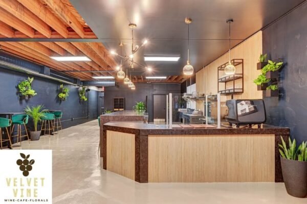 Cozy Cafe and Wine Bar for Curated Wines and Light Bites | Velvetvinewine.com
