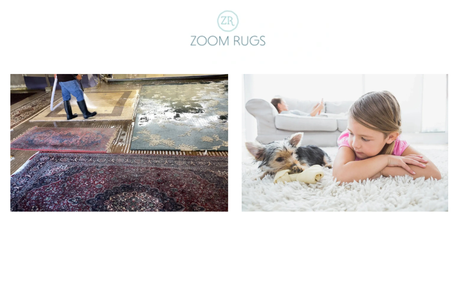 Top-rated rug cleaning services in the Bay Area for fresh, stain-free rugs