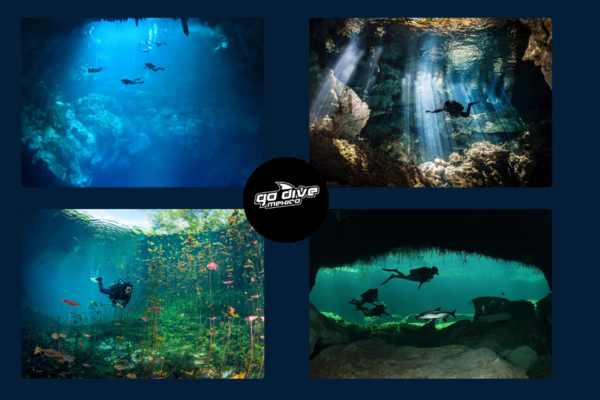 Explore Hidden Underwater Worlds: Cenote Diving Adventures