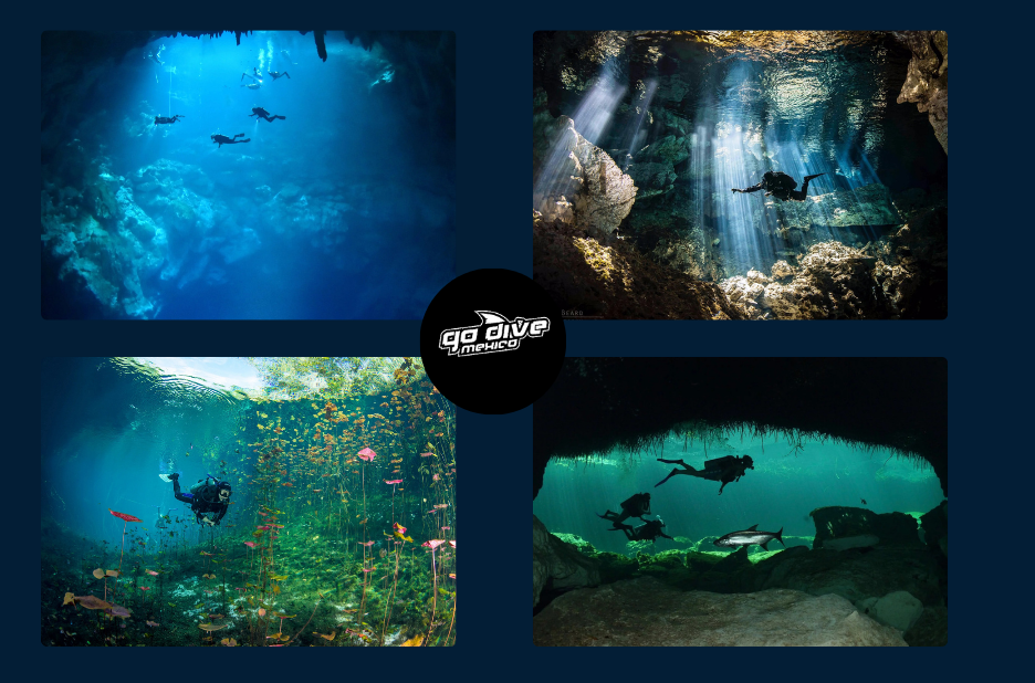 Explore Hidden Underwater Worlds: Cenote Diving Adventures