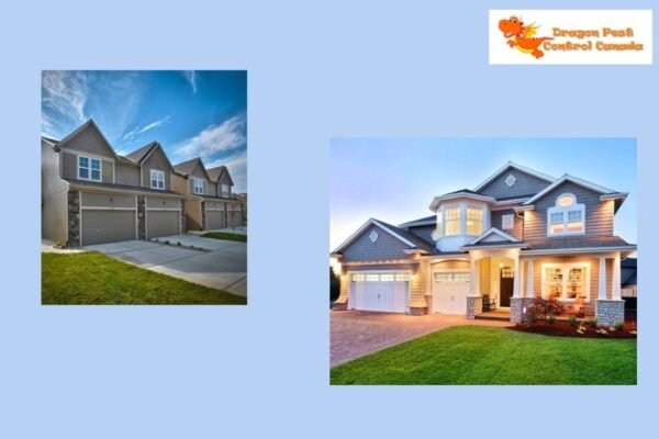 Effective Pest Control in Edmonton You Can Trust