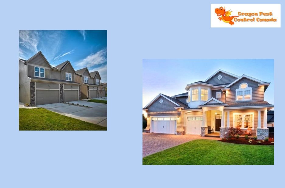 Effective Pest Control in Edmonton You Can Trust