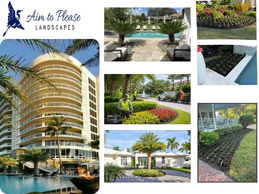 Professional Palm Tree Care in Southwest Florida