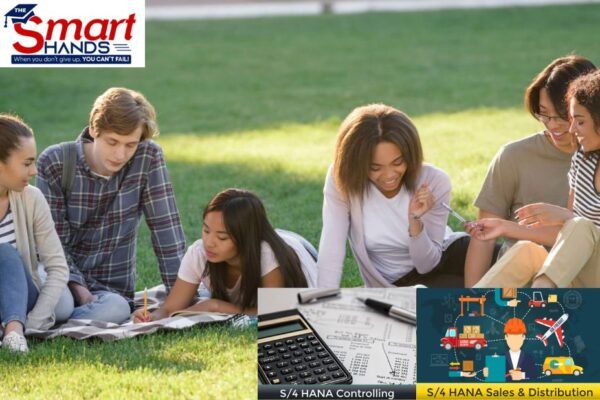 Master SAP Materials Management: Practical Training for Professionals