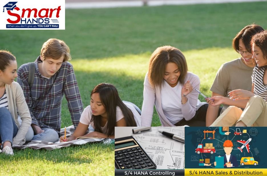 Master SAP Materials Management: Practical Training for Professionals