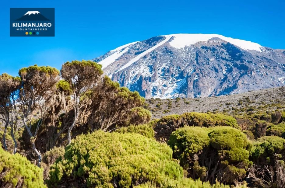 Essential Kilimanjaro trekking gear you’ll actually need