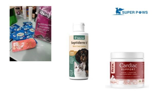 Delicious, Nutrient‑Rich Freeze Dried Meals for Pets