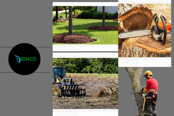 Professional Tree Removal Altona Services for Safe and Efficient Landscape Care