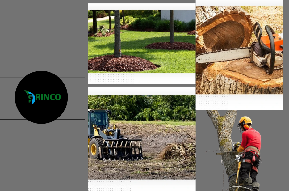 Professional Tree Removal Altona Services for Safe and Efficient Landscape Care