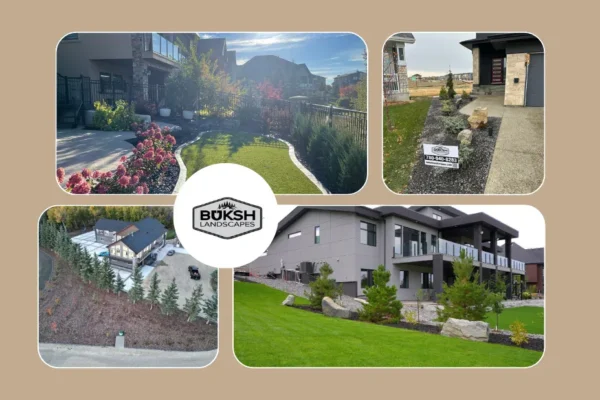Reliable Commercial Snow Removal Edmonton Services for Safe and Accessible Properties