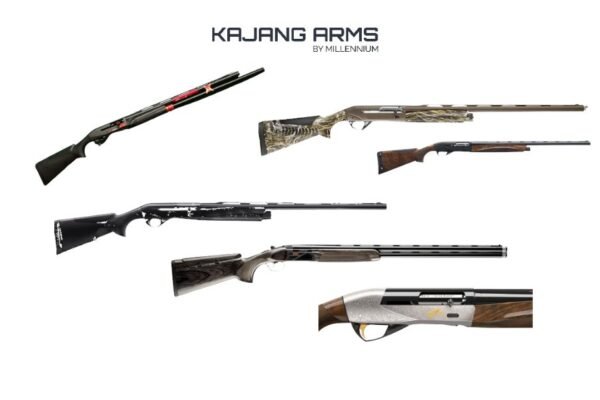 Buy Reliable Pistols for Sport Shooting and Personal Defense in Malaysia | Kajangarms.com.my