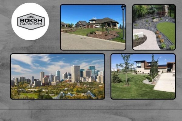 Top Landscaping Services In Edmonton for Stunning and Durable Outdoor Spaces