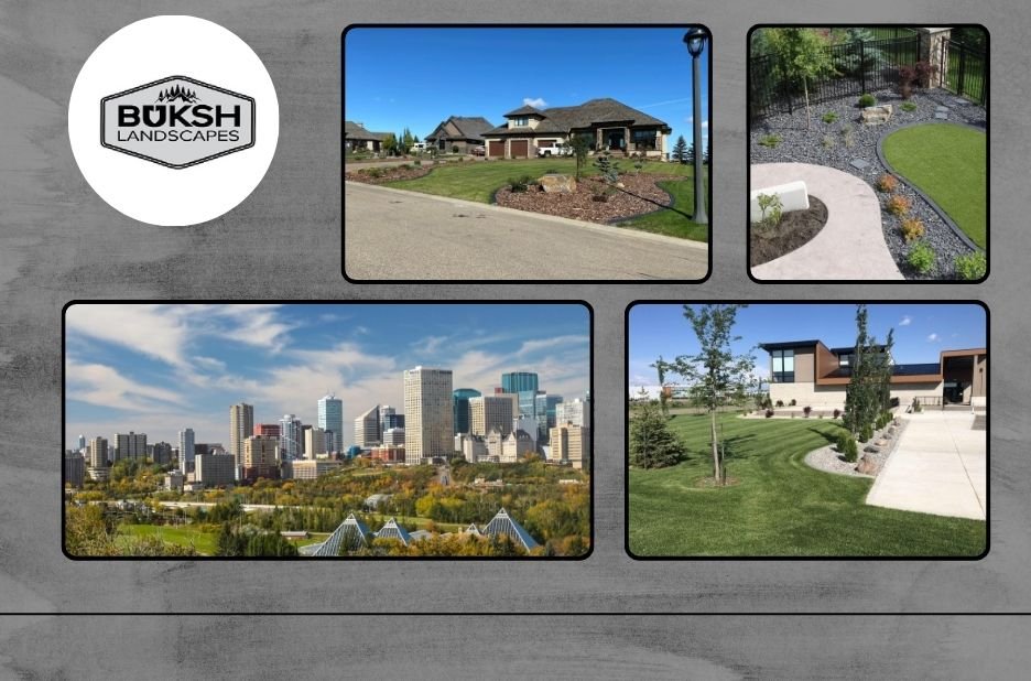 Top Landscaping Services In Edmonton for Stunning and Durable Outdoor Spaces