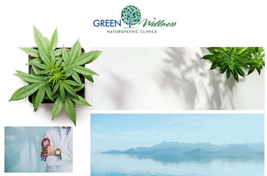 Top Medical Marijuana Doctors Near You for Safe and Effective Treatment
