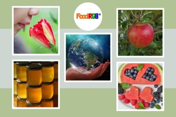 Buy Safe and Natural Black Carrot Color for Food Coloring Applications