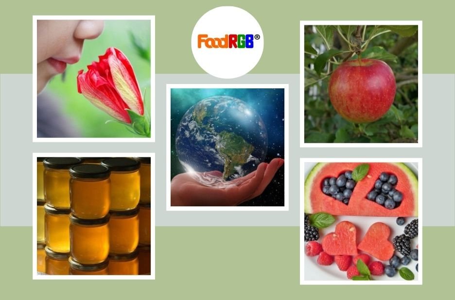 Buy Safe and Natural Black Carrot Color for Food Coloring Applications