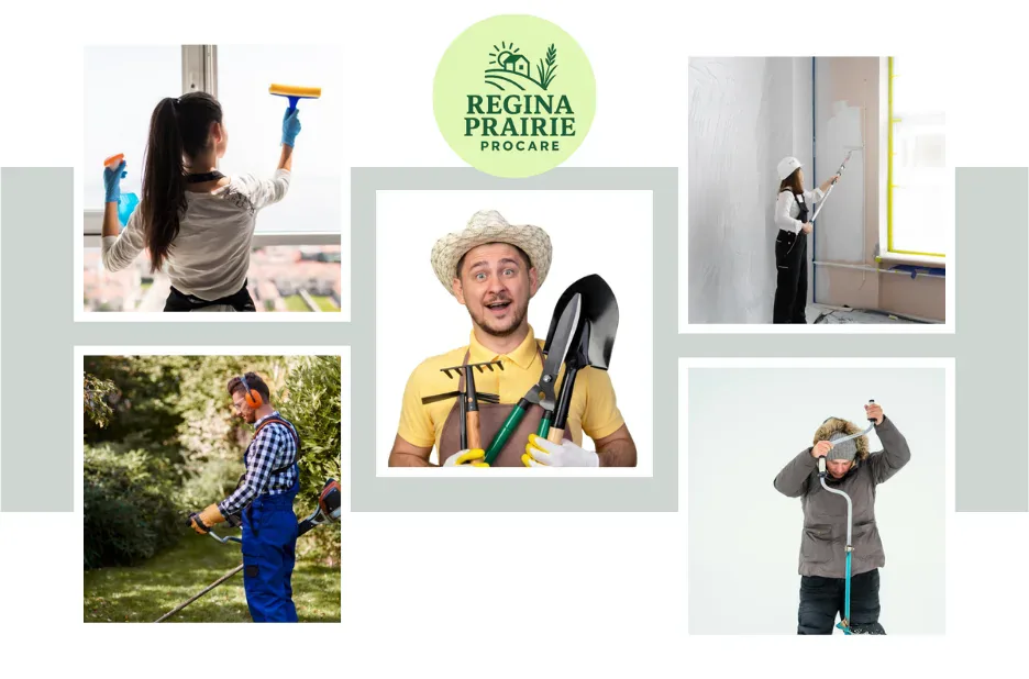 Professional Residential Roof Cleaning Regina for Safe and Effective Roof Maintenance