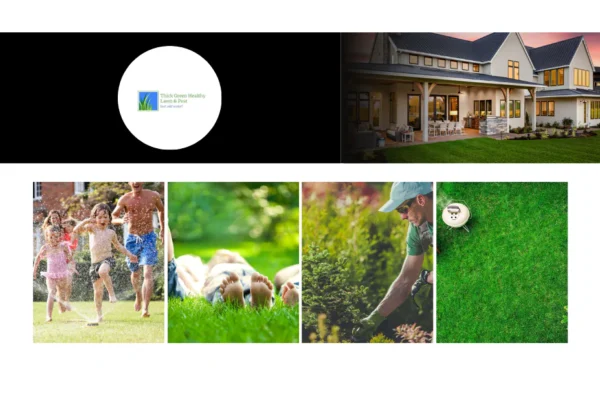 Expert Lawn Care Services in Converse TX for a Healthy, Vibrant Yard