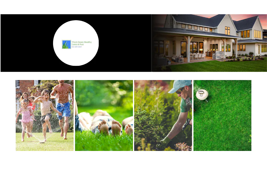 Expert Lawn Care Services in Converse TX for a Healthy, Vibrant Yard